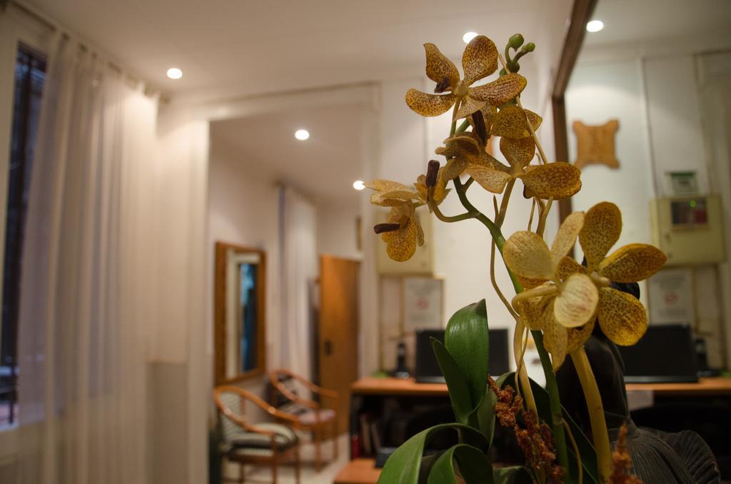 Hostal Aribau Barselona Oda fotoğraf